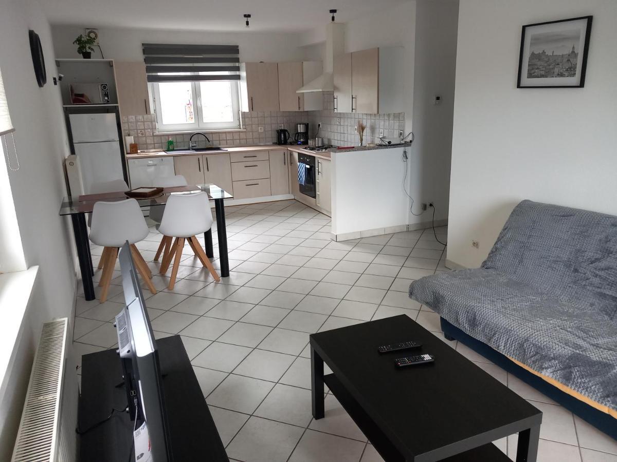 Appartement 3 Pieces Avec Balcon Rhinau Esterno foto